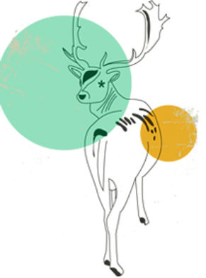 Deer Album Cover