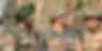Untitled_design-181553188344680 (1).webp