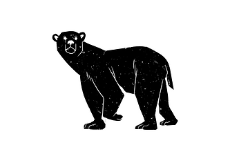 bary.png