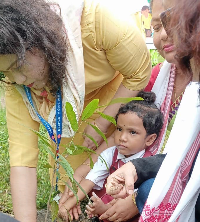 Tree planting