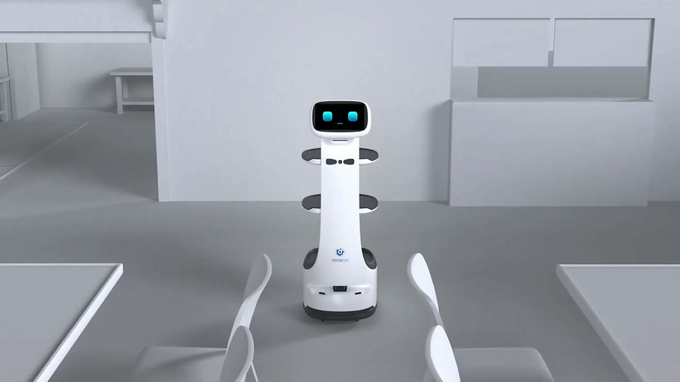Miniature : Dinerbot T8