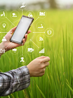 Landwirtschaftliche Technologie