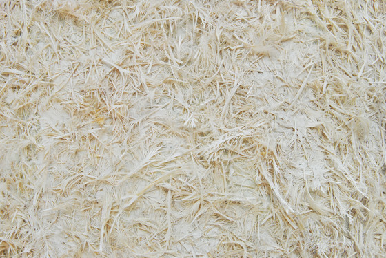 Paper Pulp