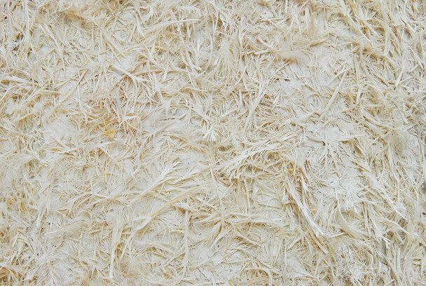 Paper Pulp
