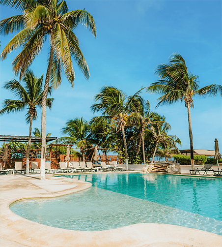 Recurso 22tiposdaypass.png