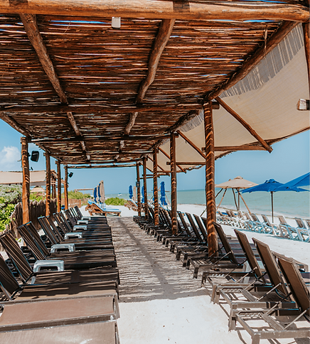 Recurso 23tiposdaypass.png