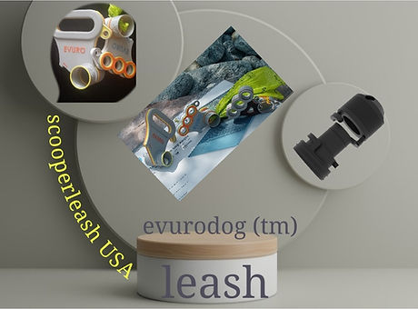 Logopit_1661984061674~2.jpg