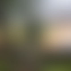 Benches (pew pew pew pew pews?) at ST John Of God that you can view OPTUS stadium from and Sirius at night.. wtf..