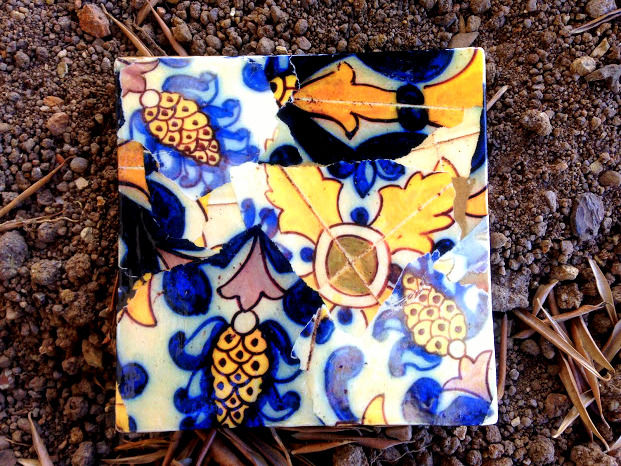 IMG_0537azulejo amareloOk