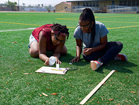 Using Data Science to Bring Joy and Curiosity to Mathematics