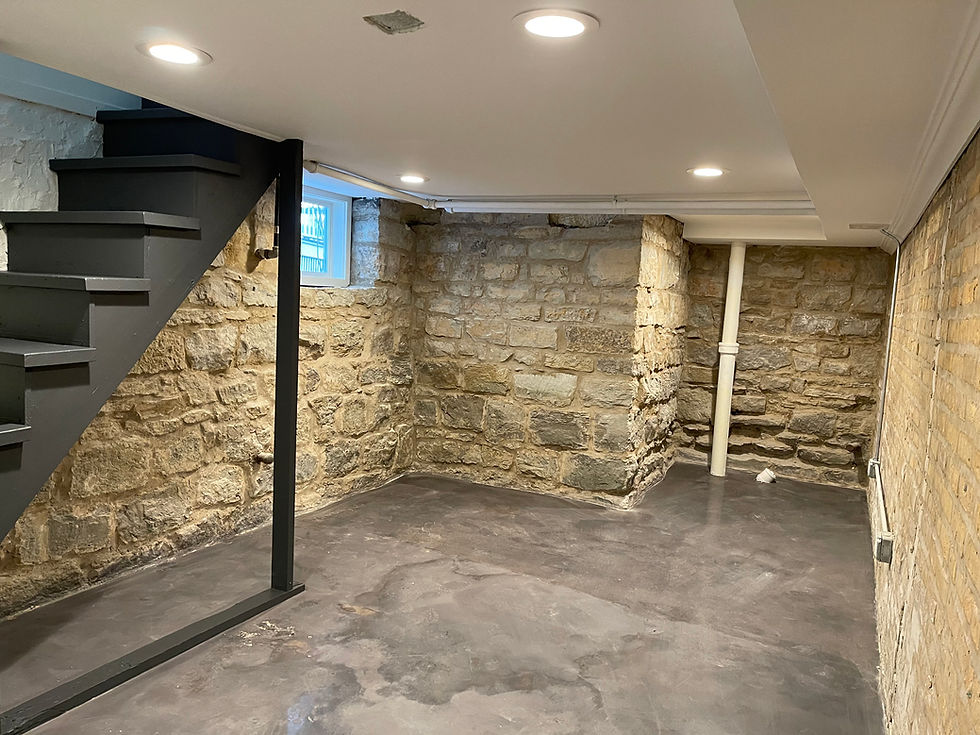 Basement Remodel
