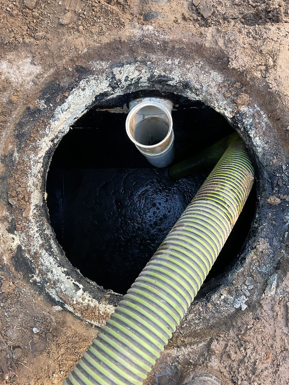 Septic