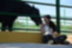 A horse and a girl