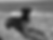 roxy_edited.png
