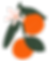 apelsin1.png