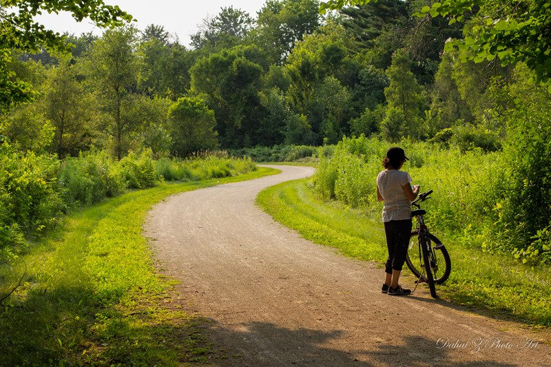 Person stands with a bike on a curving path through a lush, green forest. Sunlight filters through trees, creating a peaceful mood.