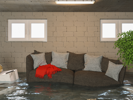 Avoid These 3 Home Inspection Red Flags to Protect Your Investment