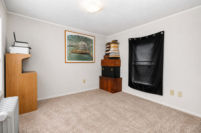 	Bonus room with carpet flooring, wall art, storage furniture, and window