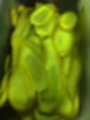 squash