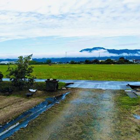 121373853_353627715842776_17261211287522