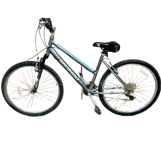 Thumbnail: Nishiki Bicycle
