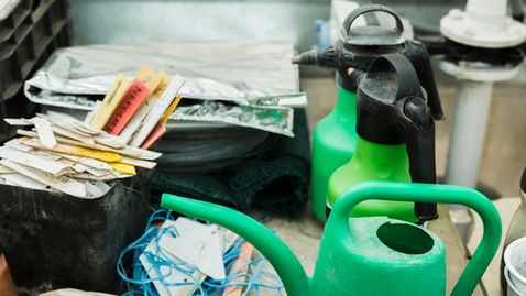 Signs You Need A Property Cleanout