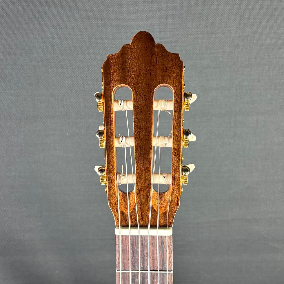 Thumbnail: Altamira N100 Headstock