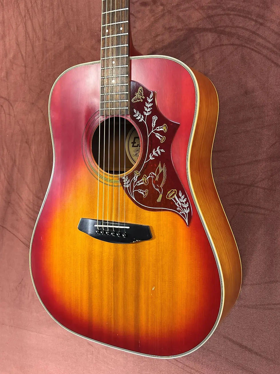 Thumbnail: Electa 6500 soundhole and rosette detail