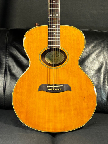 Aria Elecord FE60 MIJ 1981 | Guitar Garage