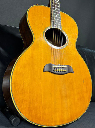 Aria Elecord FE60 MIJ 1981 | Guitar Garage