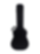 MAMMOTH WOODYW ACOUSTIC CASE