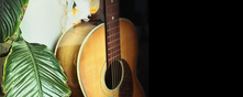 Acoustic Guitar Category
