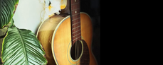 Acoustic Guitar Category