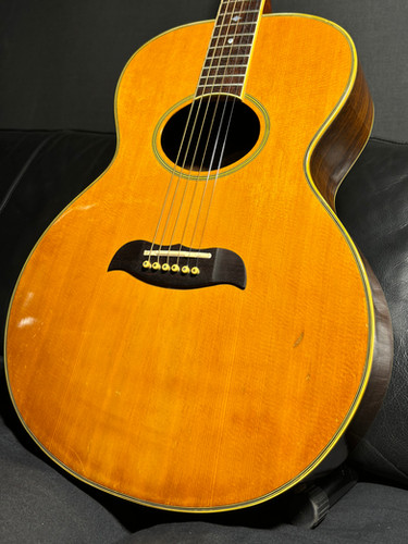 Aria Elecord FE60 MIJ 1981 | Guitar Garage