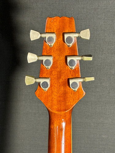 Aria Elecord FE60 MIJ 1981 | Guitar Garage