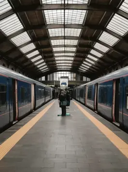 Why is Train Travel So Expensive? Exploring the Factors Behind High Rail Fares