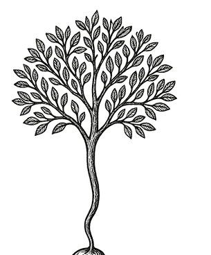 Mustard Seed Tutors Logo