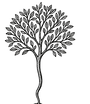 Mustard Seed Tutors Logo 