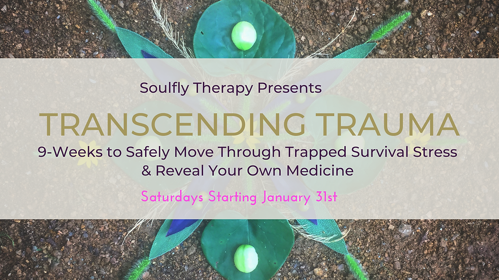 Transcending Trauma: Winter 2026
