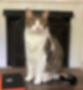 Hugo
