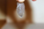 thumbnail-5.jpeg