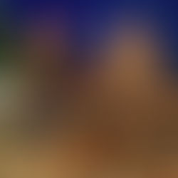 The Martinez Bull: How Family, Childhood Lessons, and Patience Paid Off...