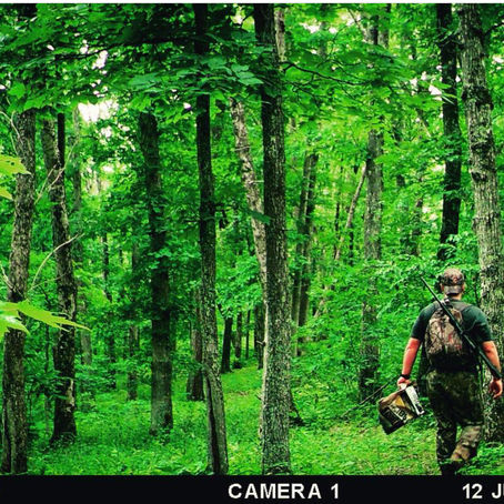 A SEASONAL APPROACH TO CHASING WHITETAILS