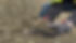 4 inch screened.jpg