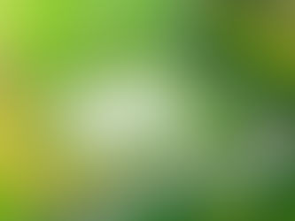 How to Buy Land and Build a Home in NH or Maine