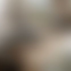 Co-Living in New Hampshire: A Smart, Affordable Housing Trend