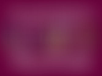 What's It Like Living in Salisbury, MA? - A Local Guide