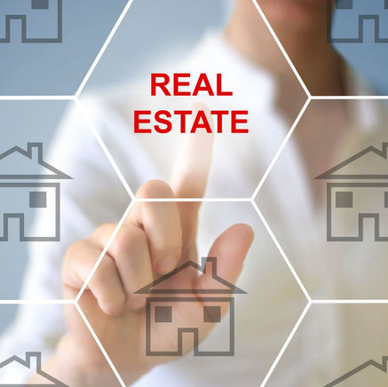 July Newsletter: Market Update & 2024 Forecast!