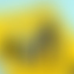 10 Essential Home Maintenance Tips for New Homeowners