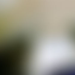 What Buyers Want in 2025: 9 Features That Sell Homes Fast